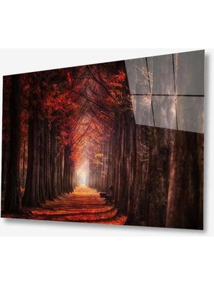 Doğa Cam Tablo 4mm Dayanıklı Temperli Cam