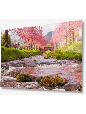 Manzara Doğa Cam Tablo 4mm Dayanıklı Temperli Cam