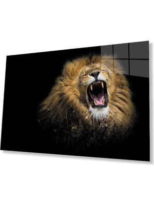 Aslan Cam Tablo 4mm Dayanıklı Temperli Cam