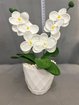 Orkide El Yapımı Örgü Hediye