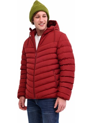 Kinetix ml Dses 1kx-Dıscot-08 5pr Bordo Erkek Mont