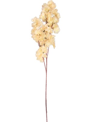 4'lü Krem Bahar Dalı Çiçek