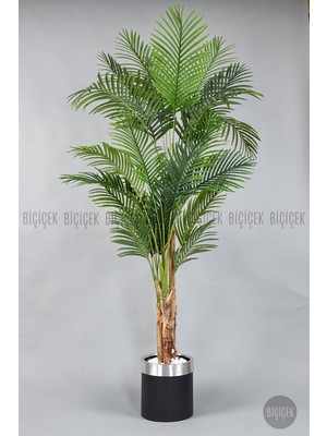 Biçiçek Areka Palmiyesi 220CM Metal Siyah Gümüş Saksıda