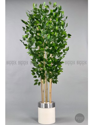 Biçiçek Yapay Benjamin Ağacı 170CM Krem Metal Saksıda Gümüş