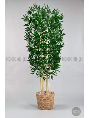 Biçiçek Yapay Bambu Ağacı 170CM Hasır Bohem1 Saksıda