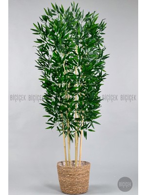 Biçiçek Yapay Bambu Ağacı 170CM Hasır Bohem2 Saksıda