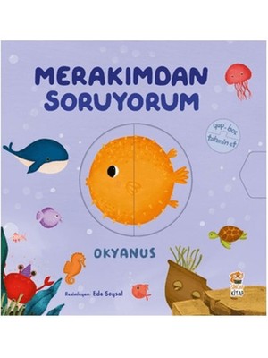 Merakımdan Soruyorum - Okyanus