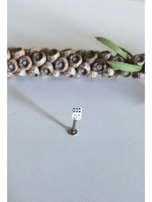 Cerrahi Çelik Zar Labret Piercing-1 Adet