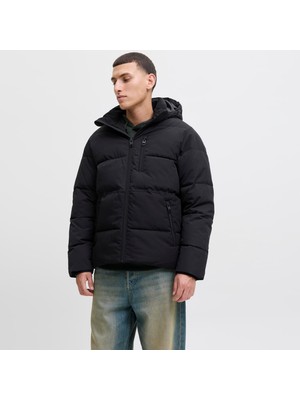 Erkek Kapüsonlu Puffer Mont - Owen