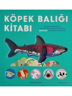 Köpek Balığı Kitabı