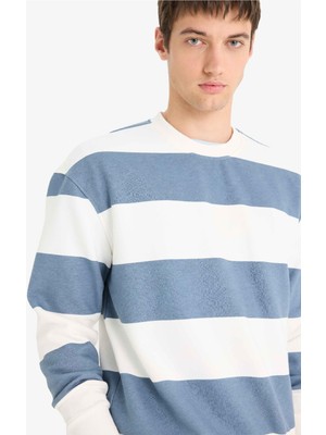 DeFacto Boxy Fit Bisiklet Yaka Çizgili Sweatshirt A9066AX25AU