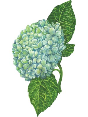 Hydrangea Table Accent