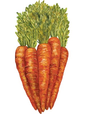 Carrots Table Accent - Pack Of 12