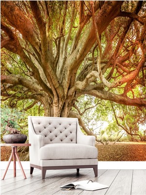 Yaşlı Ağaç Desenli Silinebilir Sağlık Dostu Tekstil Duvar Kağıdı