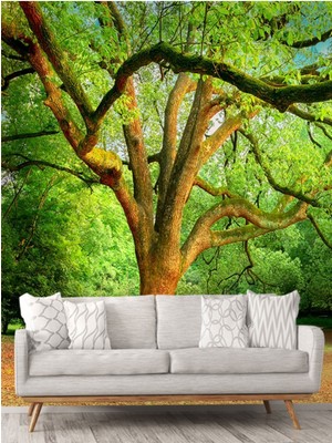 Kayın Ağacı Desenli Silinebilir Sağlık Dostu Tekstil Duvar Kağıdı