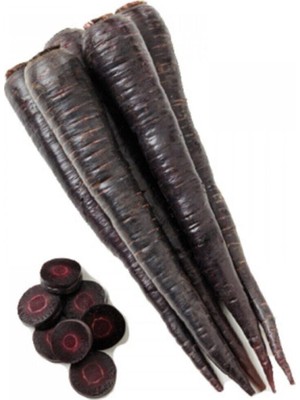 Nadir Ithal Mor Havuç Tohumu 100 Adet Tohum Şalgam Havucu