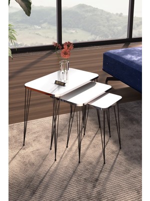 Zigon Sehpa Kr Gümüş Beyaz Tel Siyah Ayak