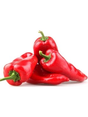 Közlemelik Kırmızı Biber Tohumu Tatlı Biber Tohumu 40 Tohum