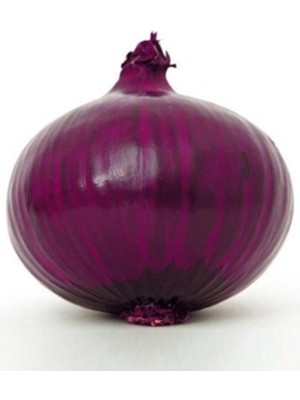 Nadir Ithal Mor Soğan Tohumu 100 Adet Tohum