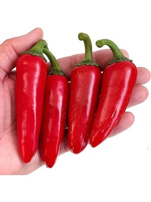 20 Adet Kırmızı Jalapeno Biber Tohumu