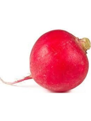 Agrobazaar Kırmızı Büyük Turp 100 Adet Tohum