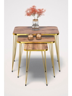 Zigon Sehpa Kr Gold Ceviz Tel