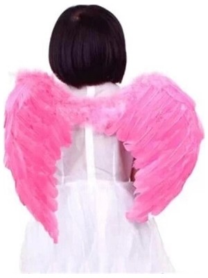 Pembe Melek Kanatları Küçük