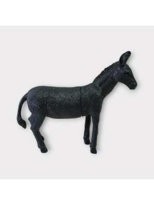 Çiftlik Hayvanları - Eşek (Lisinya)