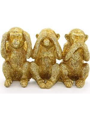 Polyester 3 Maymun  - Görmedim Duymadım Bilmiyorum