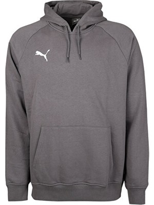 Puma Turkey Hoodie Türkiye Futbol Antrenman Sweatshirt 60546903 Gri