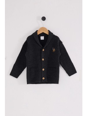 U.s. Polo Assn Bebek Hırka USB2608 Antrasit Melanj