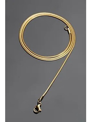 Rua Jewelry 1 mm Altın Renk Çelik Italyan Yassı Yılan Kolye Unisex 55 cm 2 Yıl Garantili