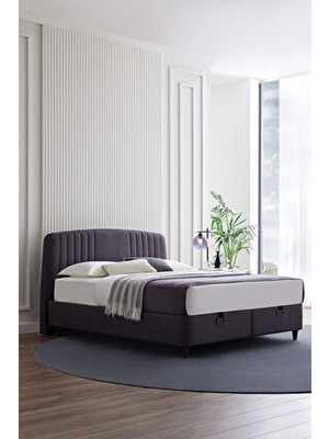 Canto Baza, Silver Başlık Çift Kişilik 2'li Set - Antrasit,