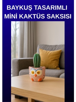 Baykuş Tasarımlı Mini Kaktüs Saksısı