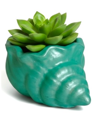 Deniz Kabuğu Su Yeşili Biblo