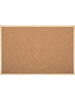 Simge Mantar Pano 30X45 Cm 0135