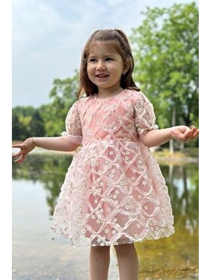 Baby Animals Kız Bebek Dantelli Kısa Kol Elbise Doğum Günü ve Parti İçin Pudra Renk Kloş Silüet