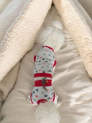 Dişi Köpek Regl Külodu ve Tshirt Takımı – Ayarlanabilir, Yıkanabilir, Hijyenik Köpek Külodu