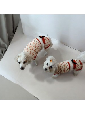 Dişi Köpek Regl Külodu ve Tshirt Takımı – Ayarlanabilir, Yıkanabilir, Hijyenik Köpek Külodu