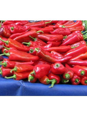 20 Adet Tatlı Kırmızı Biber Tohumu
