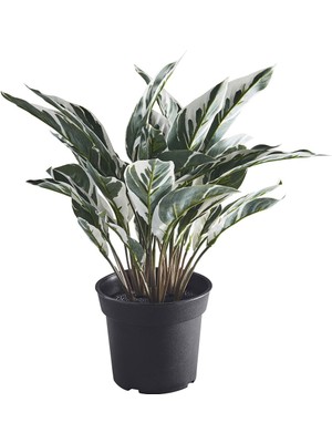 Yapay Bitki, Yeşil, 15 Cm, Dua Çiçeği