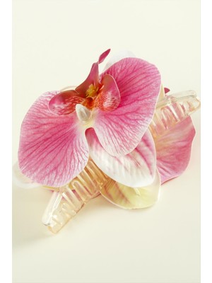 Orkide Mandal Toka 10 cm