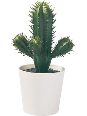 Yapay Bitki, Yeşil, 6 Cm, Kaktüs, Iç/dış Mekan