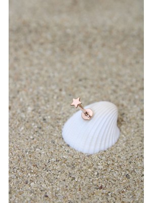 Piercing Cerrahi Çelik Piercing Kıkırdak Tragus Conch Helix Rose Renk 3 mm Yıldız Labret