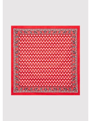 Mavi Kalp Baskılı Kırmızı Bandana 1913411-86417