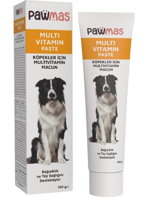 Pawmas Multivitamin Köpek Macunu 100 gr Bağışıklık ve Tüy Sağlığını Destekleyici İçerik