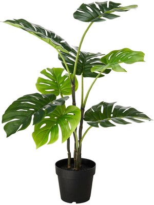 Yapay Bitki, Yeşil, 19 Cm, Monstera