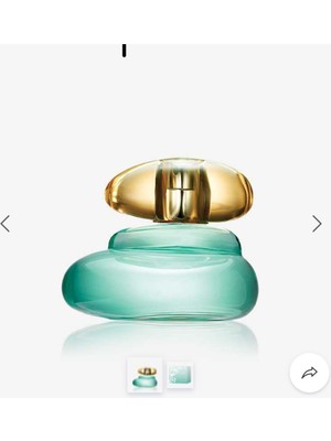 Elvie Edt