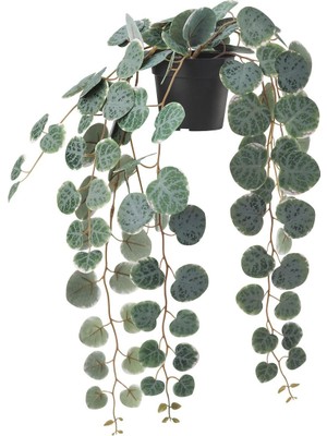 Yapay Bitki, Yeşil, 9 Cm, Kalp Kalbe Karşı Çiçeği