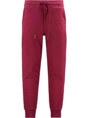 Anthony Jackson Erkek Rahat Slim Fit Jogger Eşofman Altı Lunor			